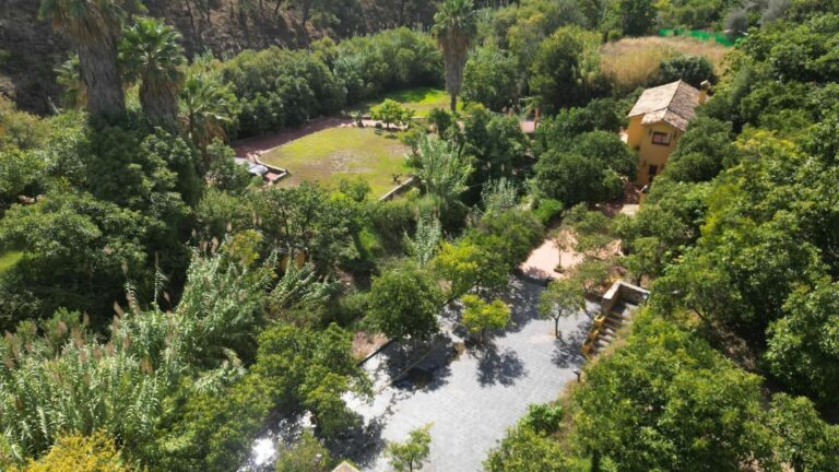 2a1a1dfe6df9df65fdae6b136d4c83b1 - 11