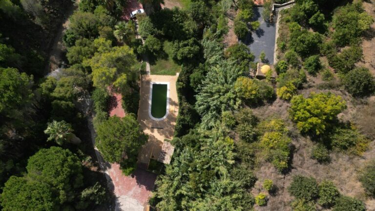 2a1a1dfe6df9df65fdae6b136d4c83b1 - 3