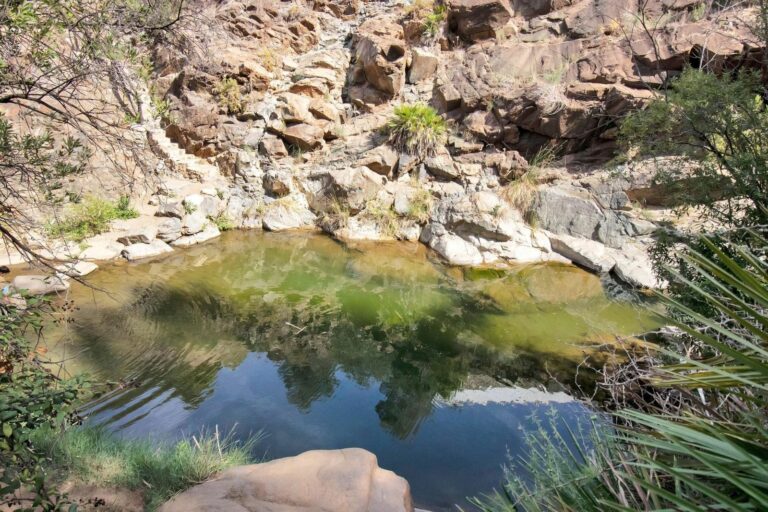 2a1a1dfe6df9df65fdae6b136d4c83b1 - 4