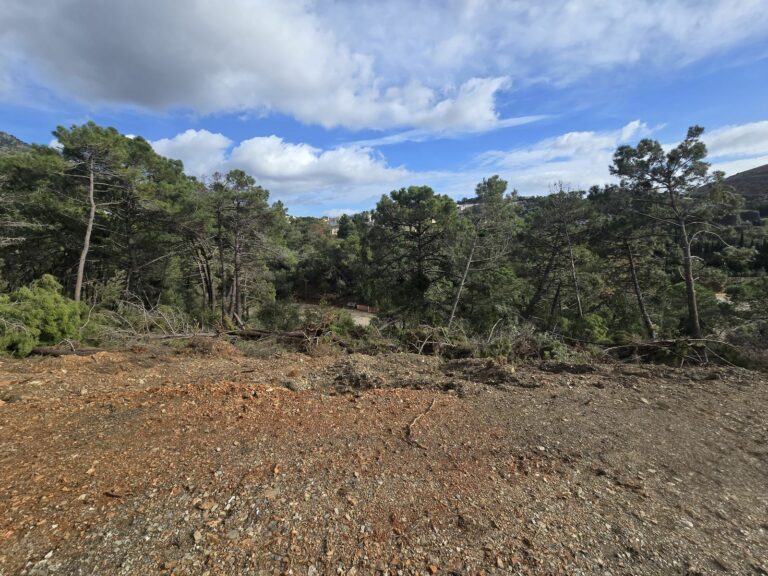 2ede6f8532498a734391c5f069607224 - 11