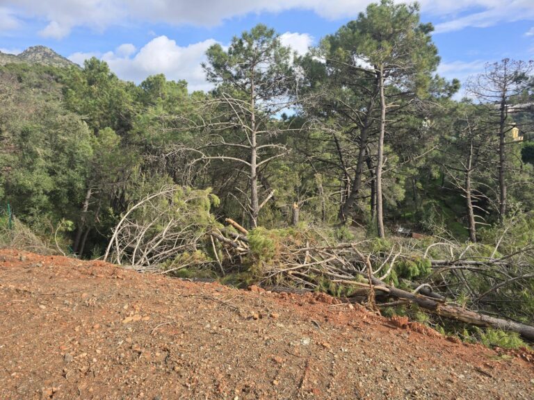 2ede6f8532498a734391c5f069607224 - 15