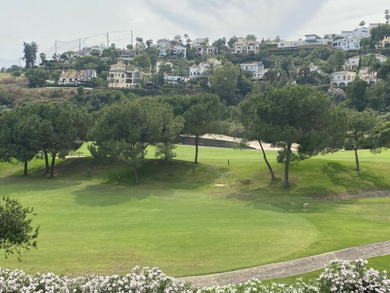 33726bc937ff41ecafe0f6dc96e0217e - 10