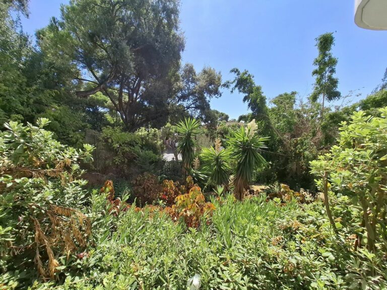 391070bcacdb65b253b56f29f5cd3deb - 12