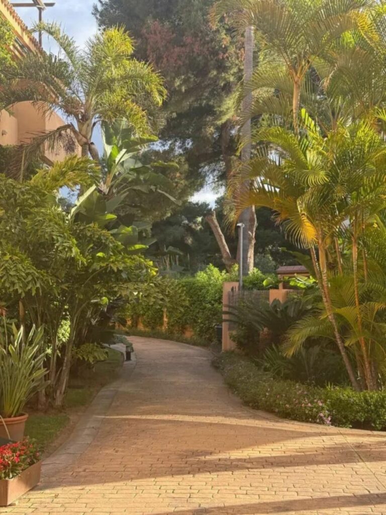 39bf0195eb5d51e6407d2a86d42c3154 - 16