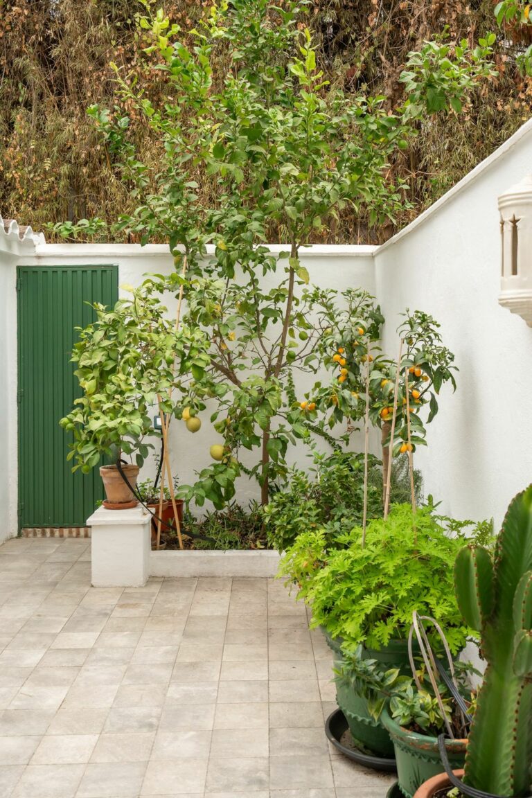 3a53f8ed373eb2ec1f5f086c763e9afe - 13