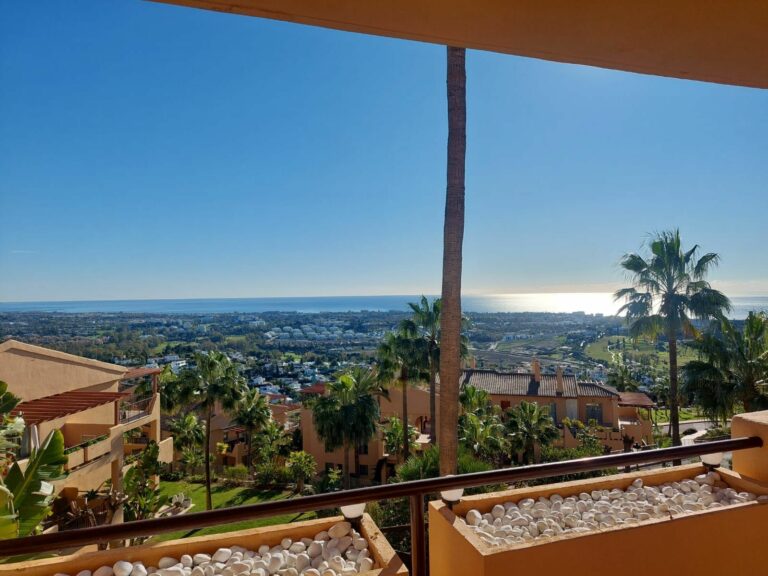 3d3cc3cc034fc2d5a0bf1cc68117926c - 3