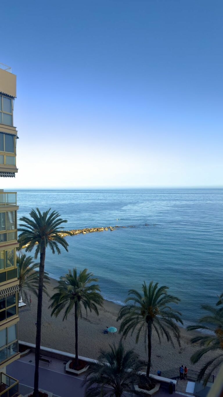 454df403530558906dcc78864584fca2 - 2