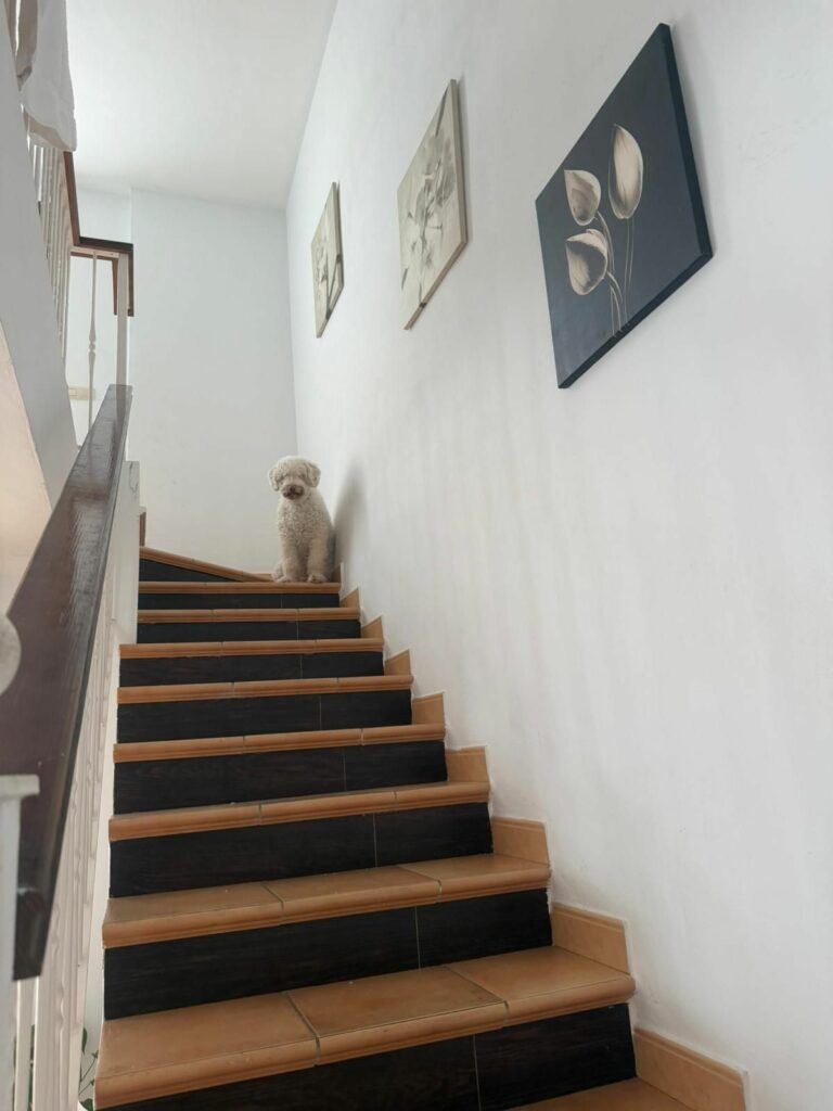 5df3818cd45d5930cdb5adb45bc9877a - 4