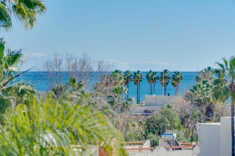 651d0c7b9ff46de6b6d1fbe2ef3746b5 - 10