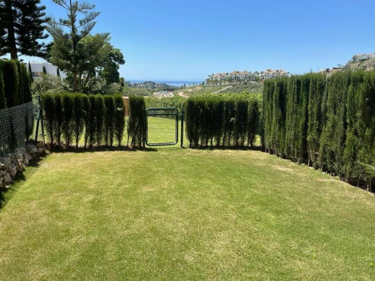 7ccbd9b0d245b249cab01ccf392b99f7 - 13