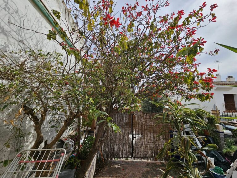 823a5ceb9c530dda50ebf5e325916dc7 - 15