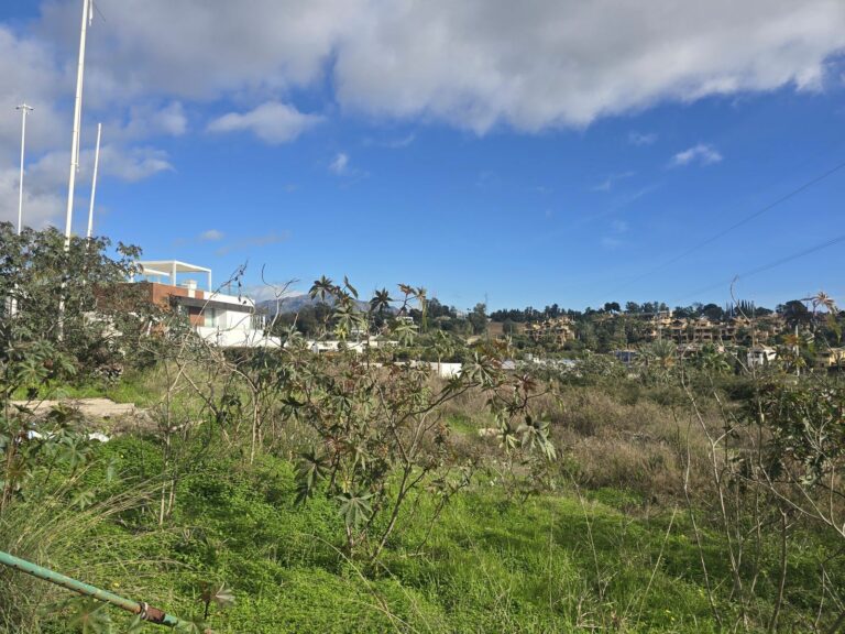 99ca491654f0c32476a6bf58455138bd - 11