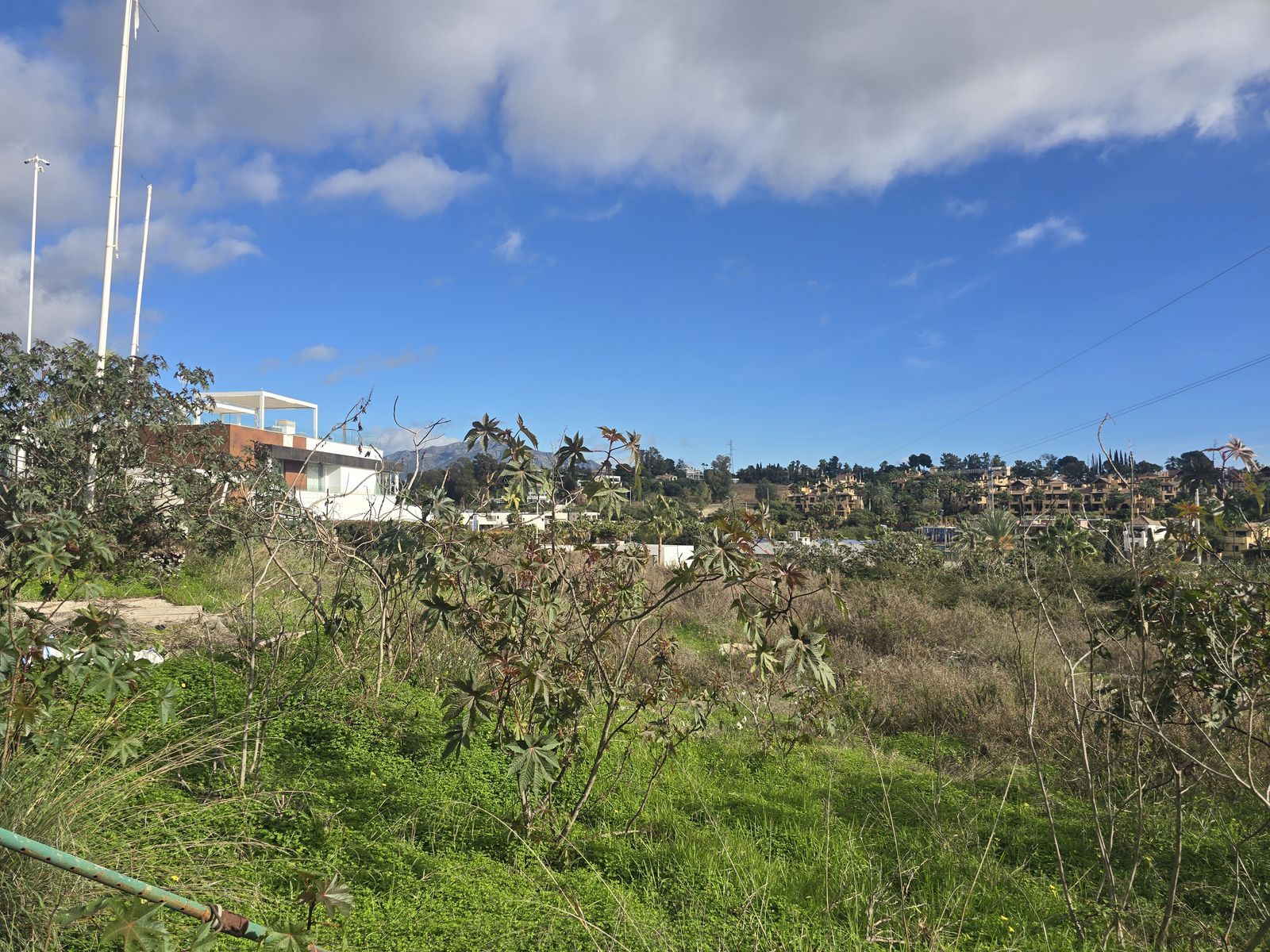 99ca491654f0c32476a6bf58455138bd - 11