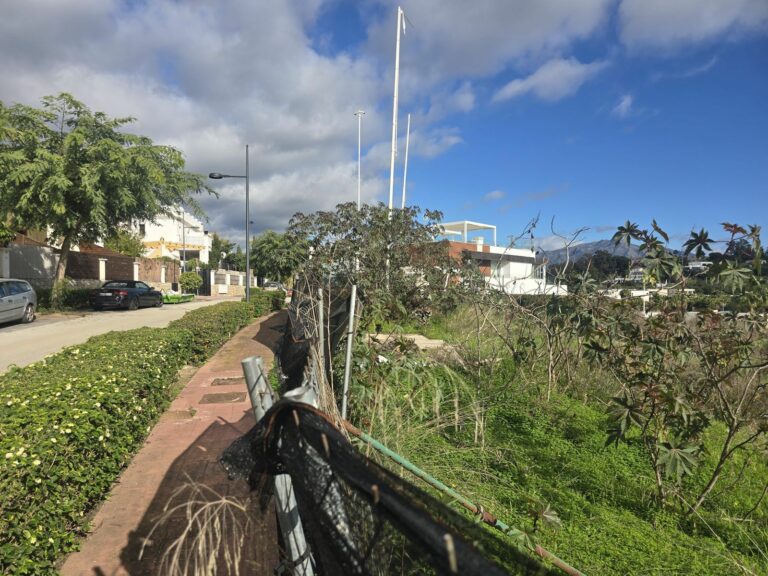 99ca491654f0c32476a6bf58455138bd - 12