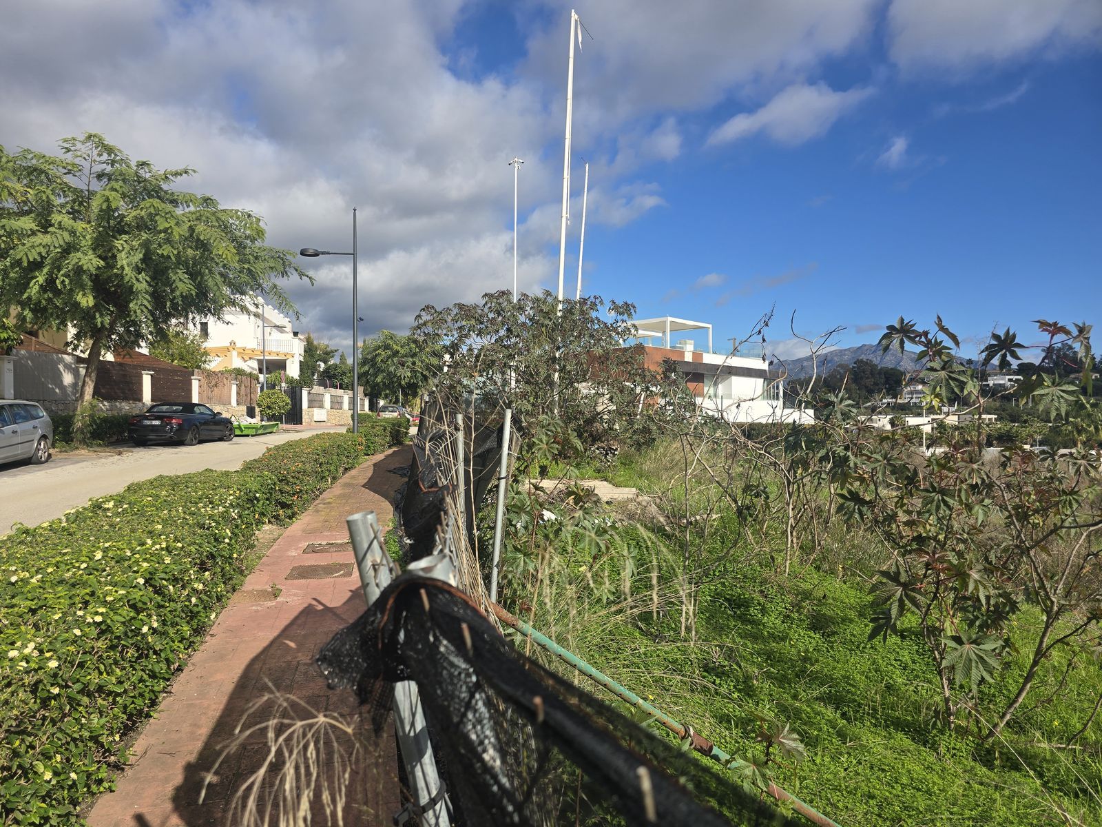 99ca491654f0c32476a6bf58455138bd - 12