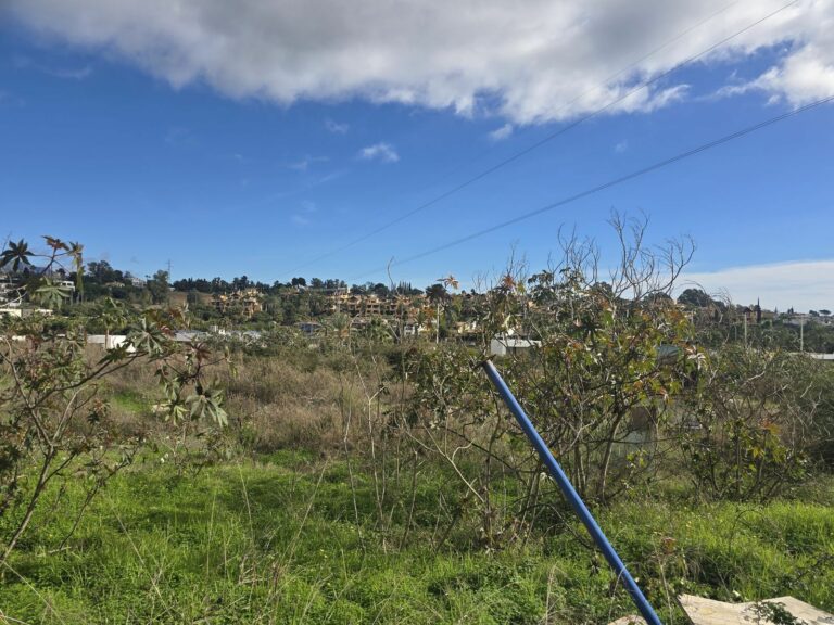 99ca491654f0c32476a6bf58455138bd - 13