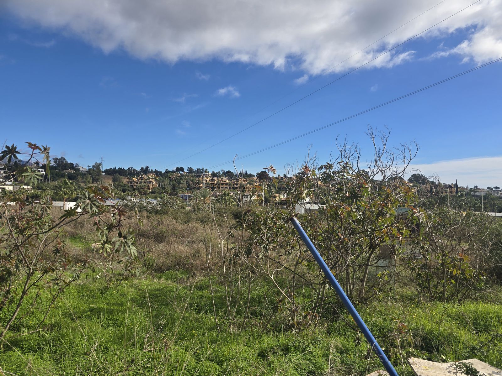 99ca491654f0c32476a6bf58455138bd - 13