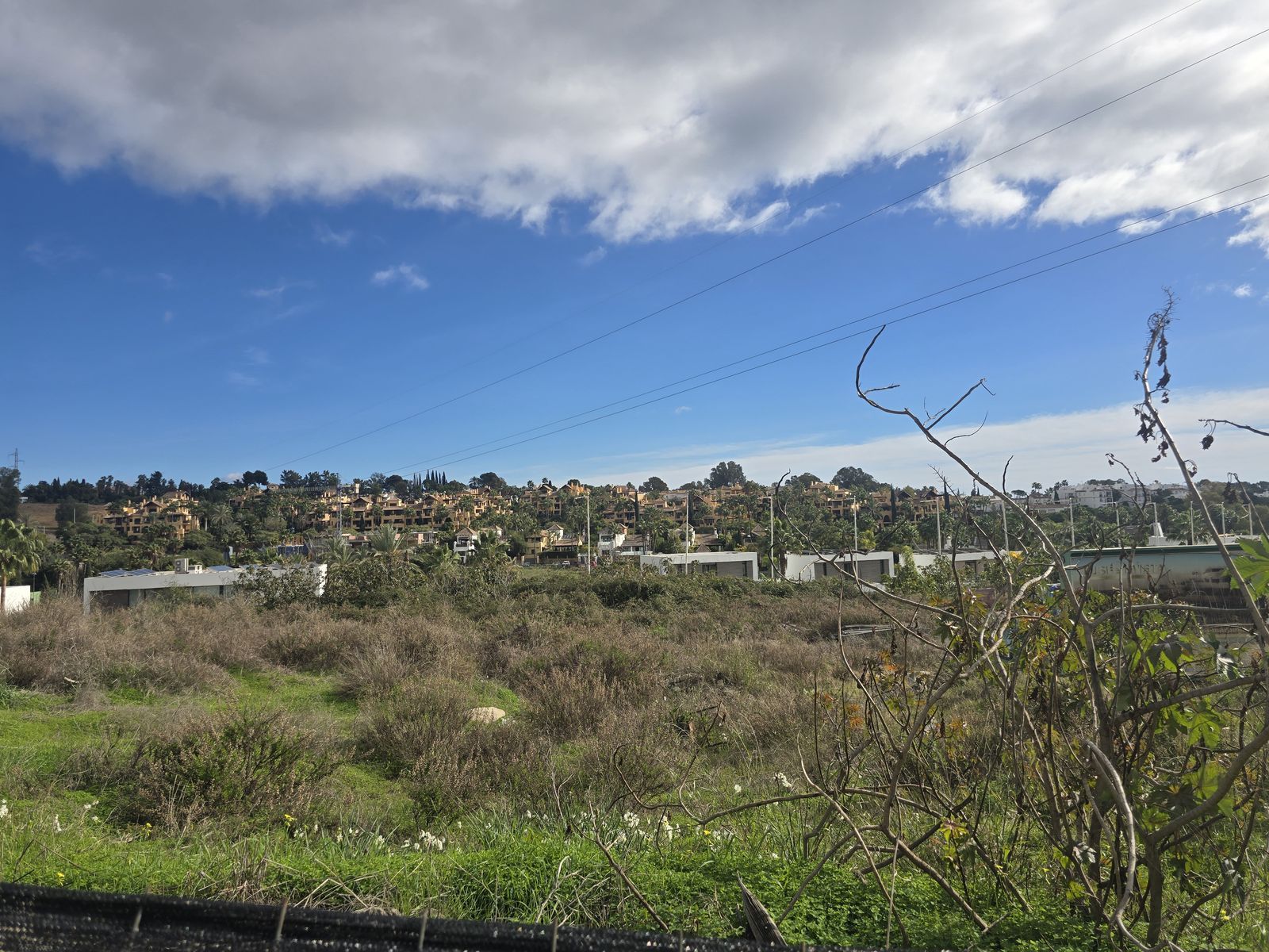 99ca491654f0c32476a6bf58455138bd - 14