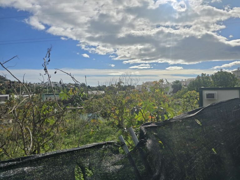 99ca491654f0c32476a6bf58455138bd - 15