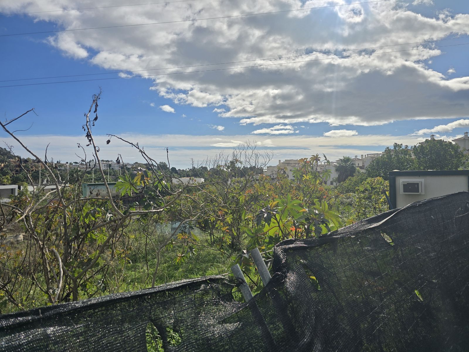 99ca491654f0c32476a6bf58455138bd - 15