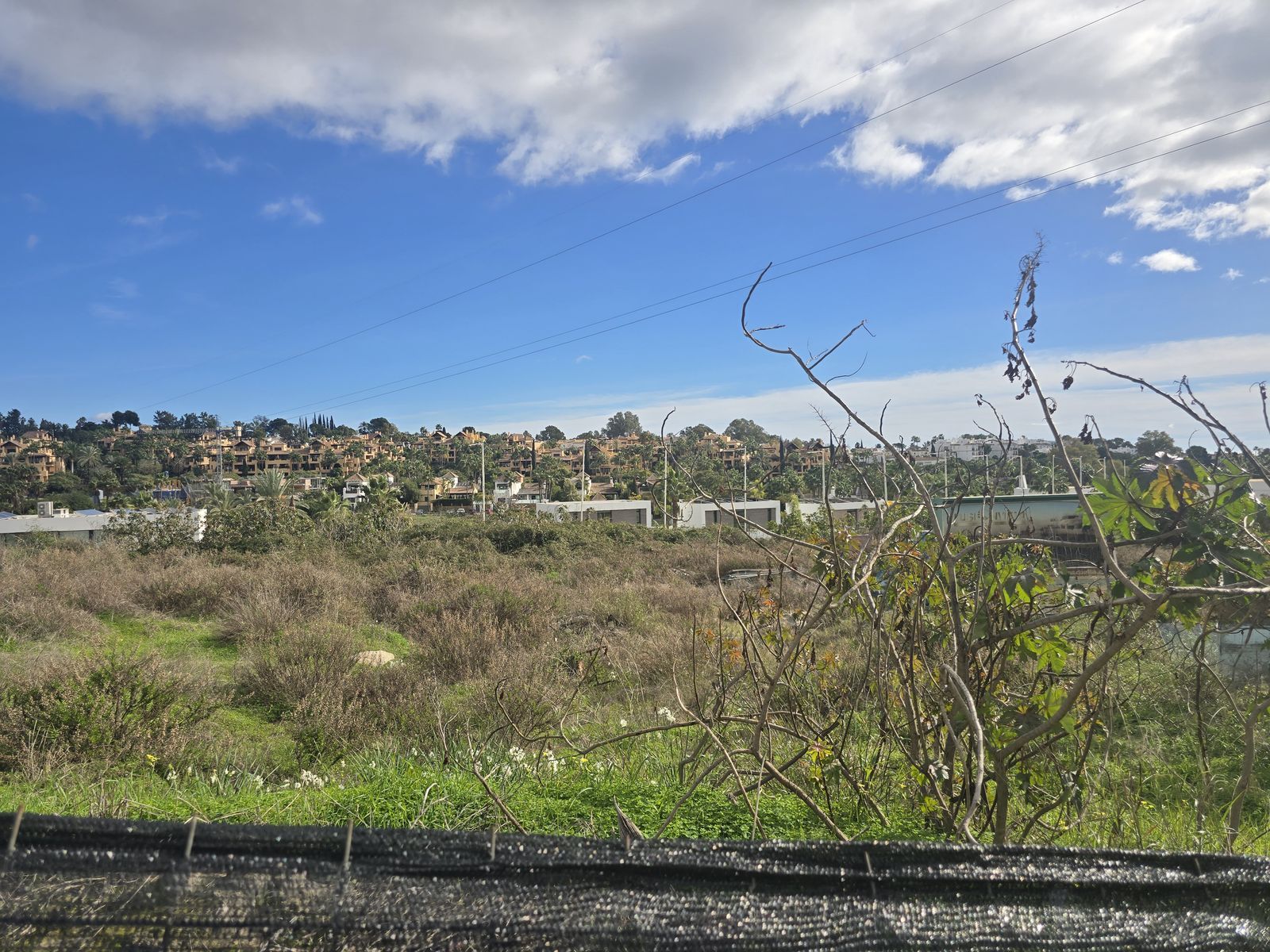 99ca491654f0c32476a6bf58455138bd - 16