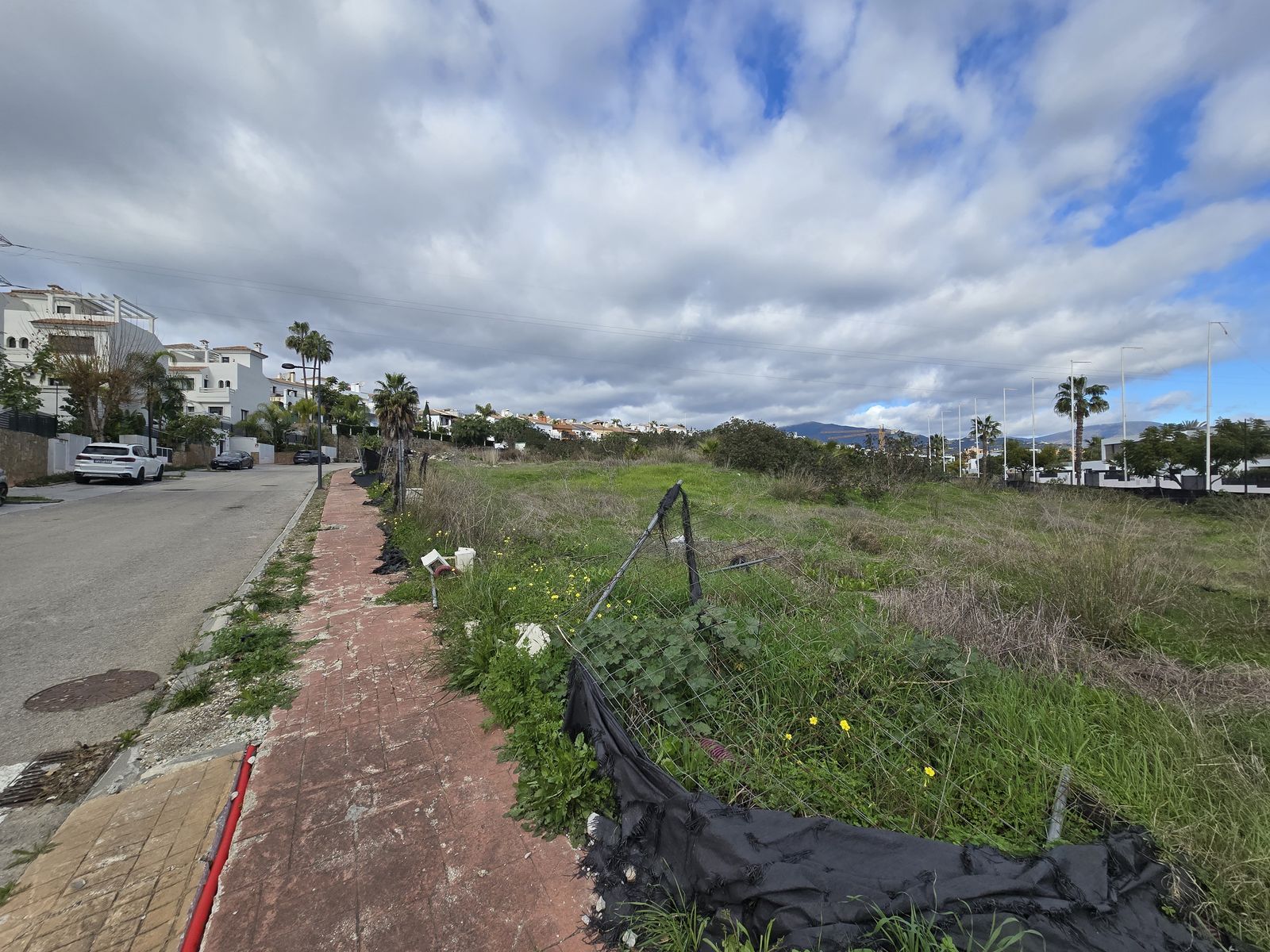 99ca491654f0c32476a6bf58455138bd - 3