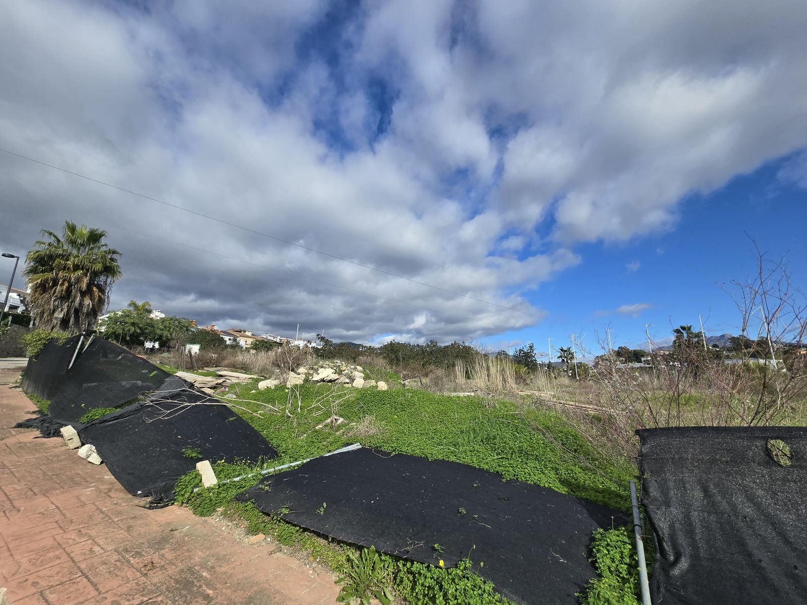 99ca491654f0c32476a6bf58455138bd - 5