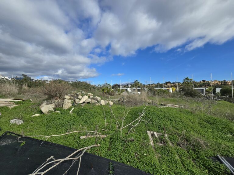 99ca491654f0c32476a6bf58455138bd - 6