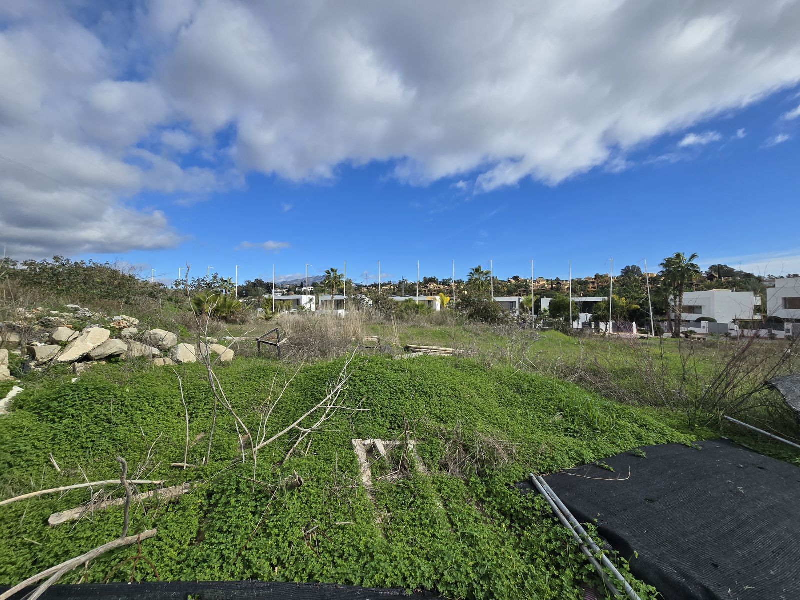 99ca491654f0c32476a6bf58455138bd - 7