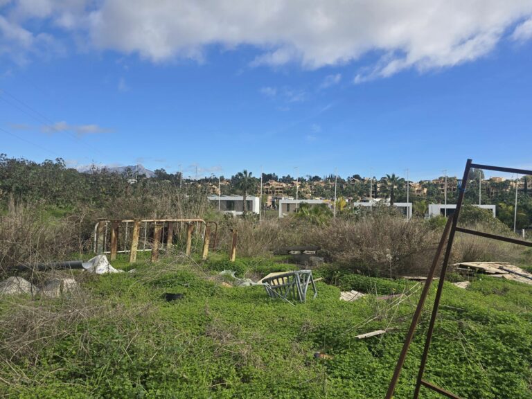 99ca491654f0c32476a6bf58455138bd - 8