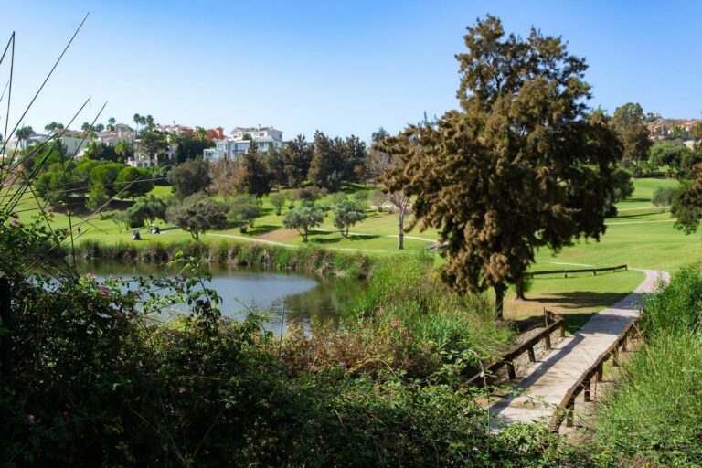 9b7e71827957809497d914efb4edf9b3 - 12