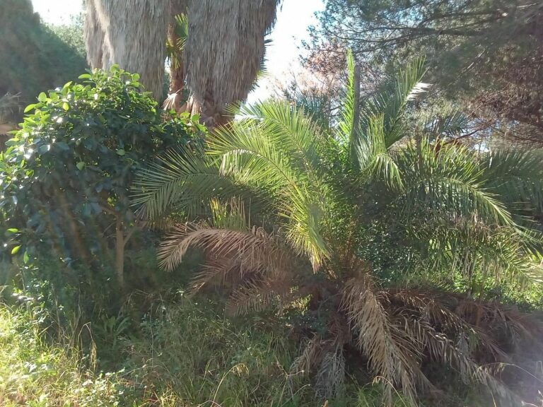 a32bd0934c3ee41c8c9408a29b0e21c4 - 10