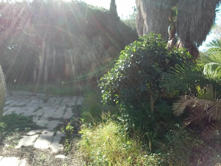 a32bd0934c3ee41c8c9408a29b0e21c4 - 11