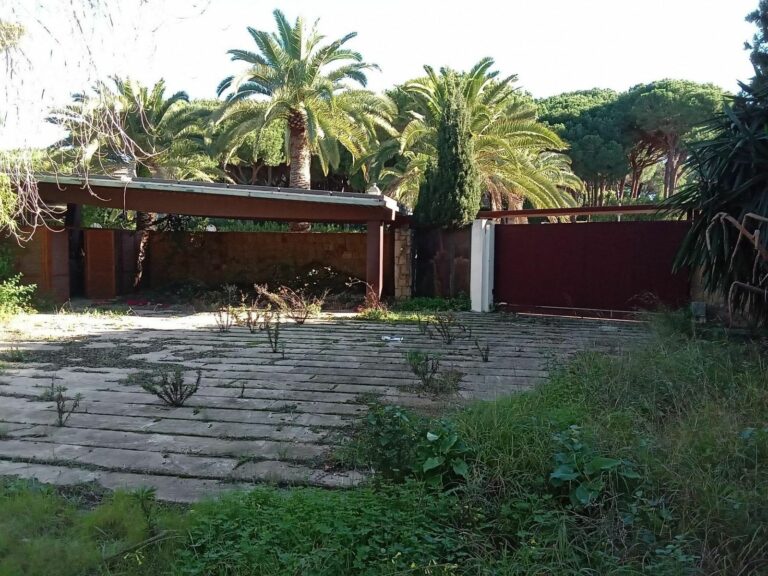 a32bd0934c3ee41c8c9408a29b0e21c4 - 13