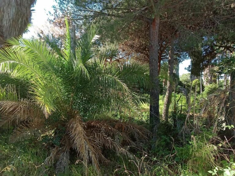 a32bd0934c3ee41c8c9408a29b0e21c4 - 14