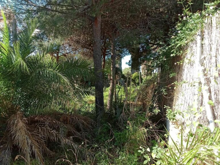 a32bd0934c3ee41c8c9408a29b0e21c4 - 15