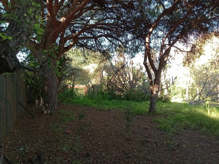 a32bd0934c3ee41c8c9408a29b0e21c4 - 16