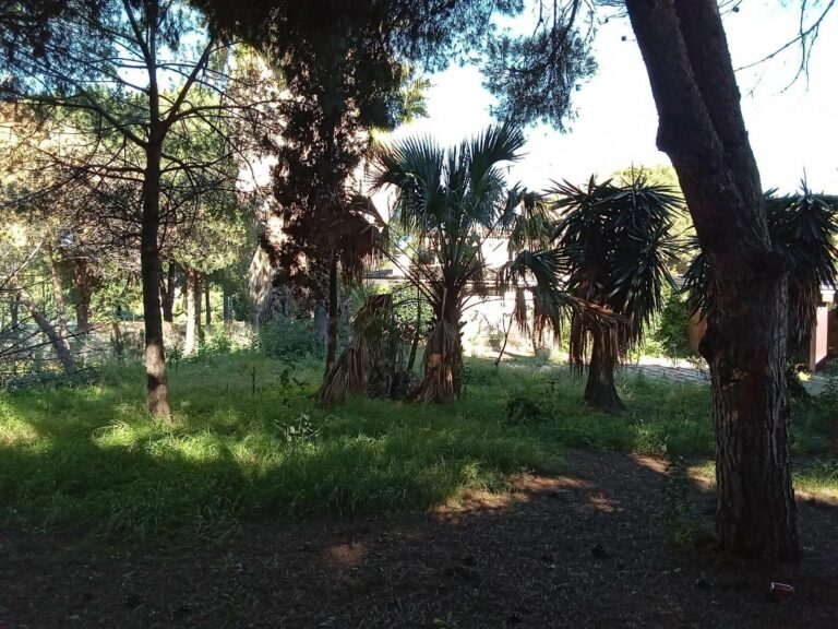 a32bd0934c3ee41c8c9408a29b0e21c4 - 8