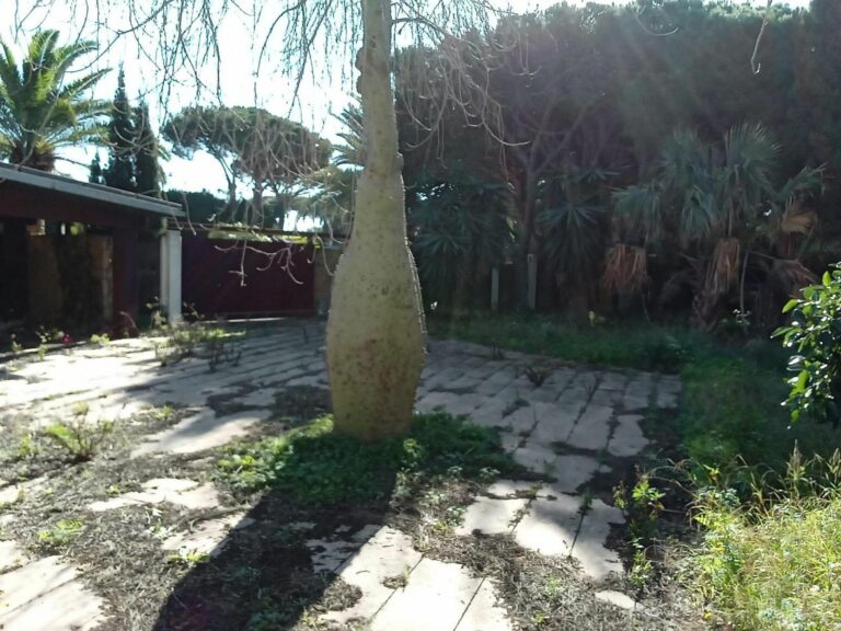 a32bd0934c3ee41c8c9408a29b0e21c4 - 9