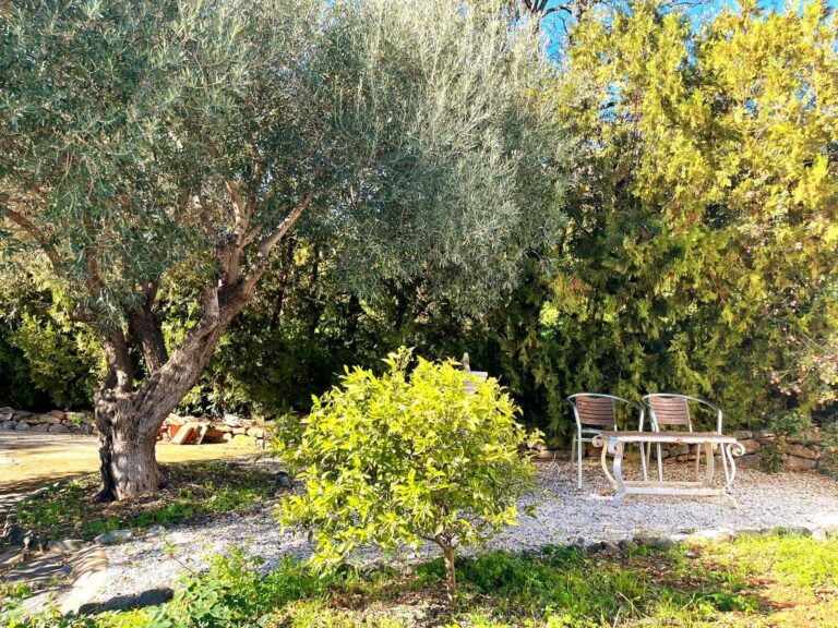 abc5bd33e06181c2dd016eb3a95288ae - 6