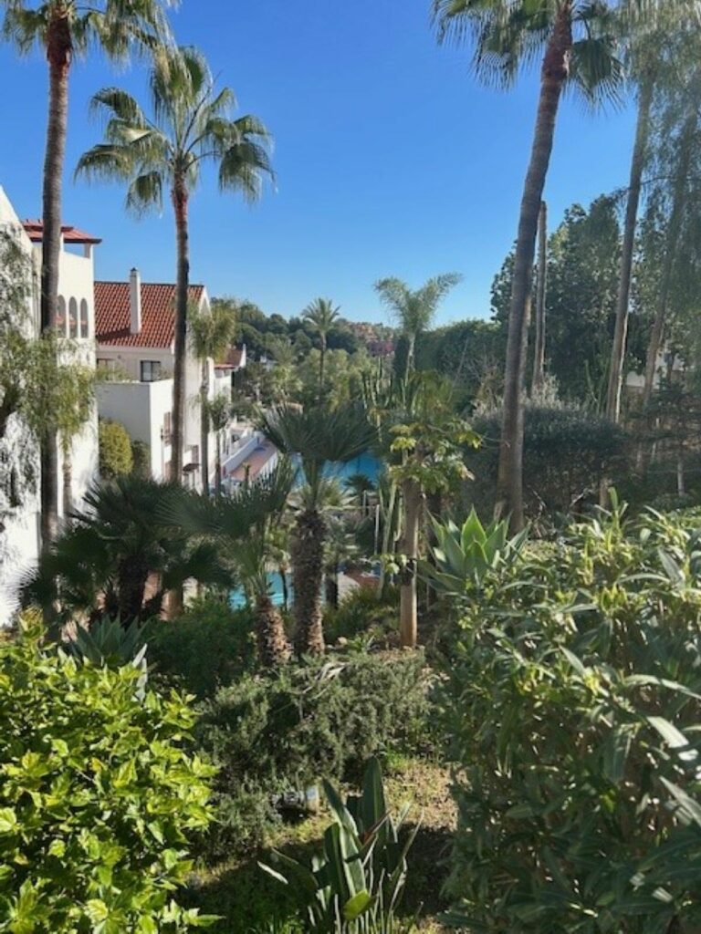 b12549c53cdad8ccf24244da9f52c331 - 1