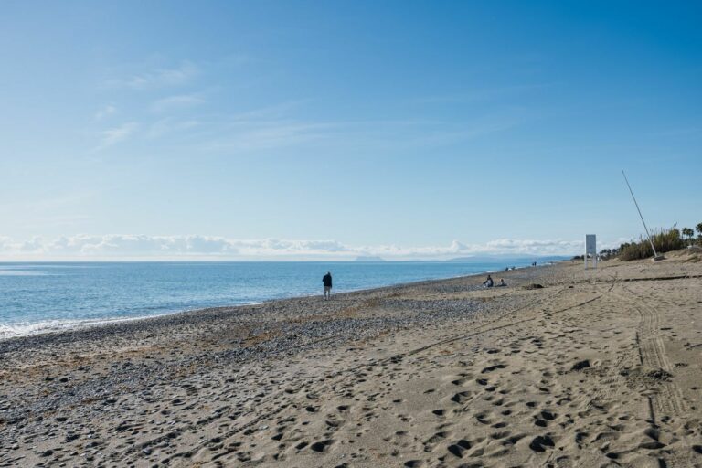 b338257759ac6ba08eb32b565372a317 - 5