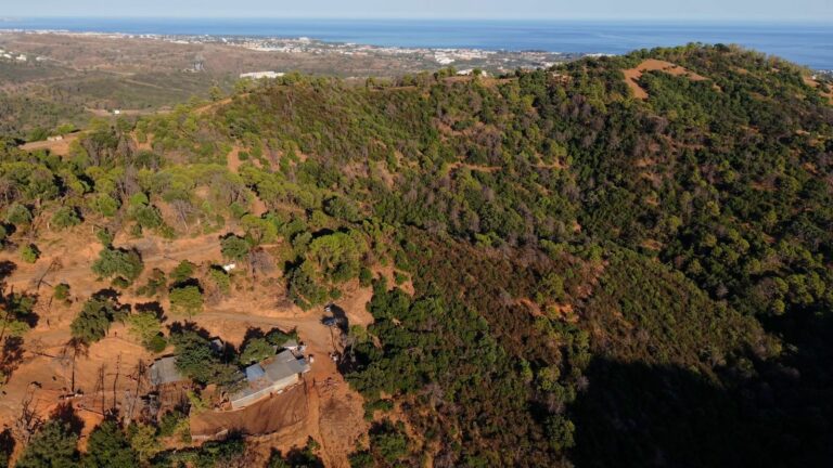 bab2e870d74f200e19281226859d21ef - 10