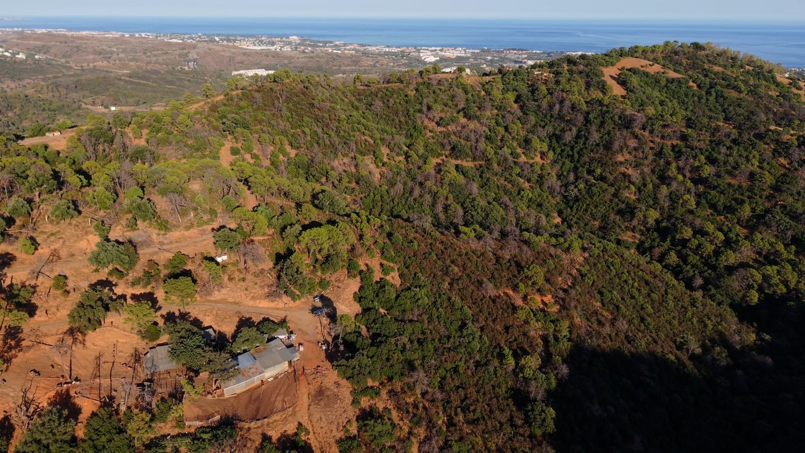 bab2e870d74f200e19281226859d21ef - 10