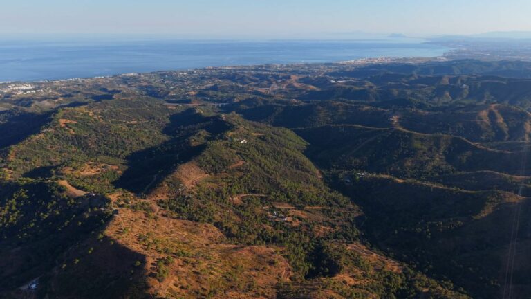 bab2e870d74f200e19281226859d21ef - 2