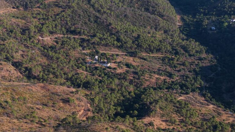 bab2e870d74f200e19281226859d21ef - 4