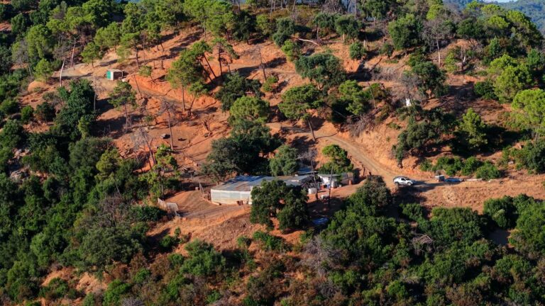 bab2e870d74f200e19281226859d21ef - 9