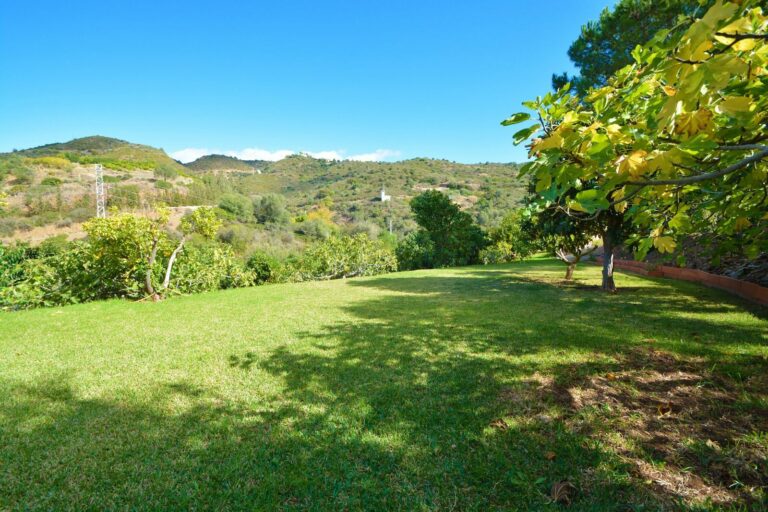 bb74904a3359b3118738efe8aa15bbfd - 16