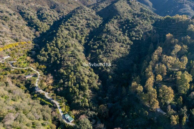 c6e4cc34a829f98b87be5bb14d36d0d5 - 11