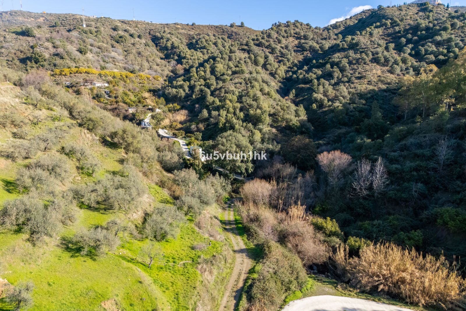 c6e4cc34a829f98b87be5bb14d36d0d5 - 12